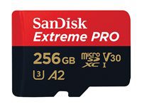 1191ff90-c588-4626-a6fc-79bdd530c7c3.jpg