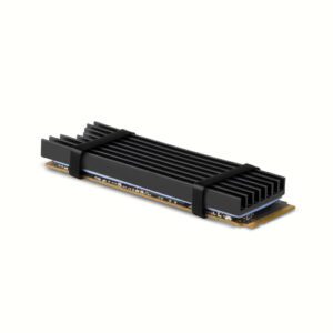 Axagon CLR-M2L6 Computerkølesystem M.2 NVMe SSD, Solid-state drev Køleplade/køler Sort 1 stk