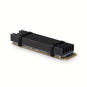 Axagon CLR-M2L10 Computerkølesystem M.2 NVMe SSD, Solid-state drev Køleplade/køler Sort 1 stk