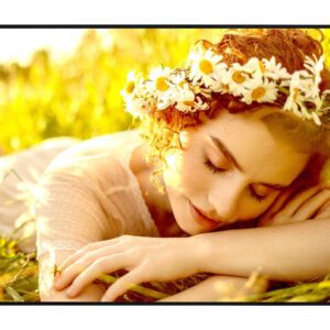 LG 50UL5Q-E skilte display Digital fladpaneldisplay 127 cm (50") LED Wi-Fi 500 cd/m² 4K Ultra HD Sort WebOS 24/7
