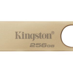 Kingston Technology DataTraveler 256 GB 220 MB/s Metal USB 3.2 Gen 1 SE9 G3